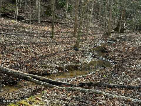 Lot 27 Pinnacle Vista Rd, Gatlinburg, TN 37738