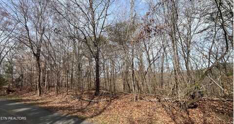 Mountain View Lane, Lot #1101, Baneberry, TN 37890