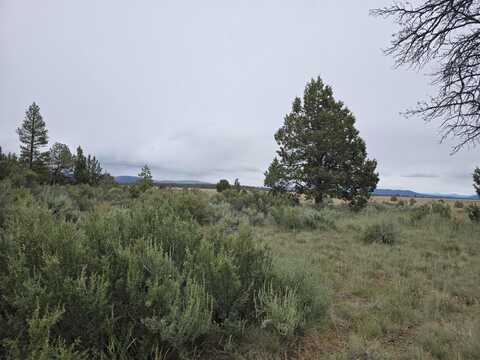 Tableland Road, Sprague River, OR 97639