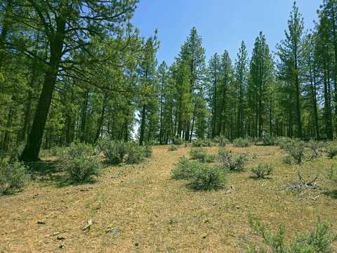 20 Elde Street, Chiloquin, OR 97624