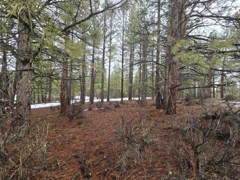 20 Elde Street, Chiloquin, OR 97624