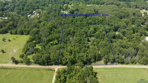 371 VZ County Road 4512, Ben Wheeler, TX 75754