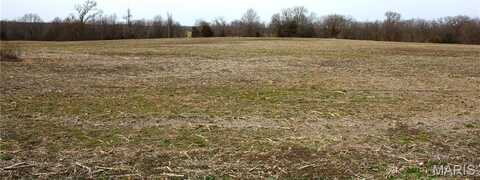 1 Monroe Road 875, Paris, MO 65275