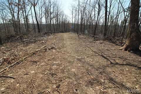 0 Madison CR 411 (120a), Fredericktown, MO 63645