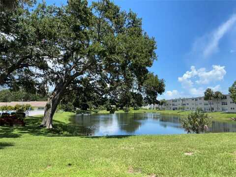 821 DELEON COURT, DUNEDIN, FL 34698