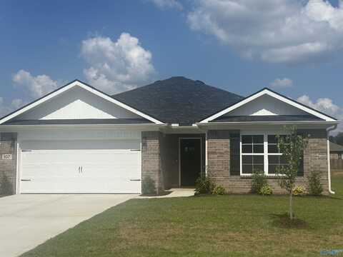 107 Gulf Hills Avenue, Toney, AL 35773