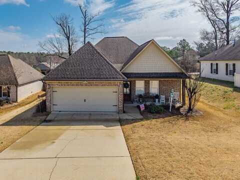 205 Forest Glen Drive, Oxford, MS 38655
