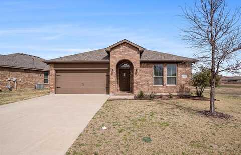 10248 Little Falls Trail, Fort Worth, TX 76177