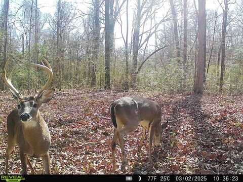 0 HWY 33, Gloster, MS 39638