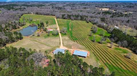0 Sweetgum Road, Valley Grande, AL 36701