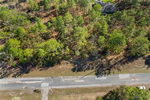 2664 W Arbutus Drive, Citrus Springs, FL 34433