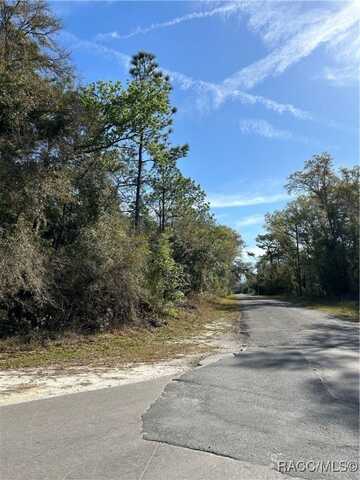 10049 N Sun City Terrace, Dunnellon, FL 34433