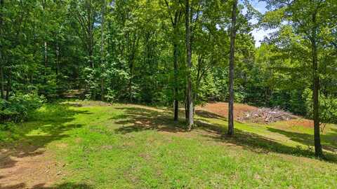 236 Branham Lane, Ten Mile, TN 37880