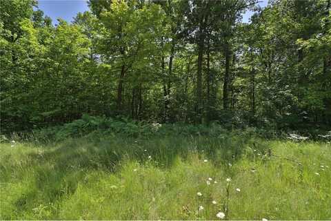 Tract D Olander Road, Crosby, MN 56441
