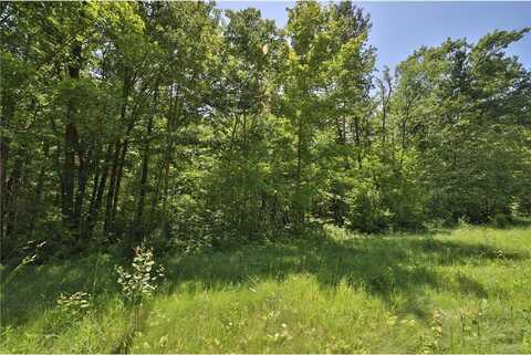 Tract C Olander Road, Crosby, MN 56441