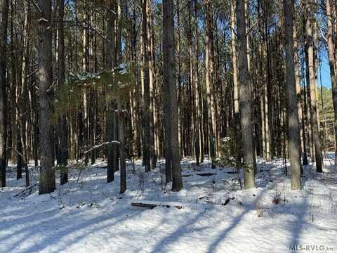 65 Granite Hall Drive, Boydton, VA 23917