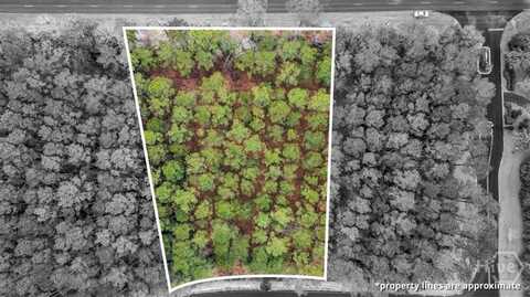 Lot 83 Fiddlers Cove, Townsend, GA 31331