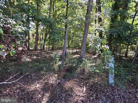 306 THADEN AVENUE, FORT WASHINGTON, MD 20744