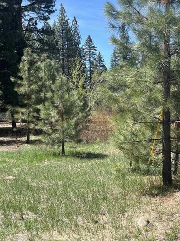 Tiger Avenue, Tahoe Vista, CA 96148