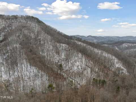 Mcmakin Road, Rogersville, TN 37857