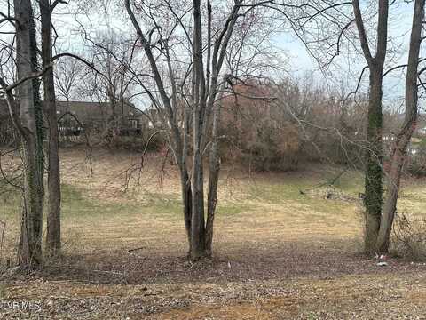 Ford Avenue, Kingsport, TN 37663