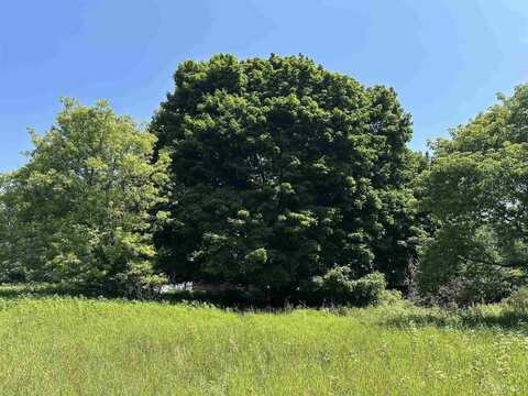 TBD NW Arbutus Ave, Manistique, MI 49854