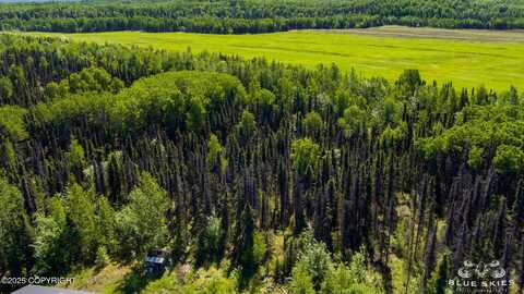 13687 E Beaver Drive, Willow, AK 99688