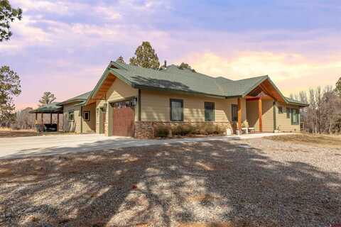 47 Bennett Court, Pagosa Springs, CO 81147