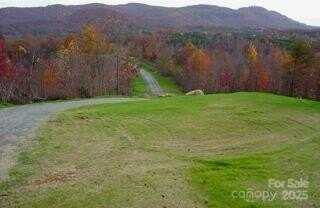 Owls Ridge Drive, Bostic, NC 28018