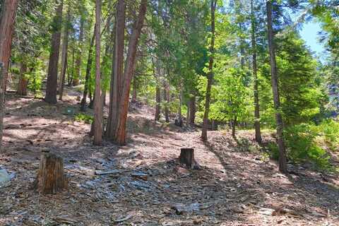 7220 Yosemite Park Way, Wiest, CA 95389
