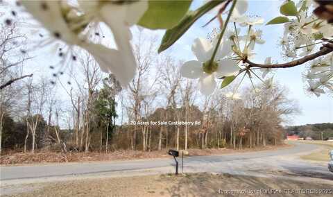 Castleberry Road lot: 7, Sanford, NC 27332