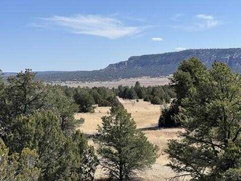 Copperweed Road lot: 9, Ramah, NM 87321