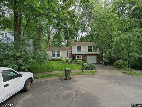 Shadbush, RESTON, VA 20191