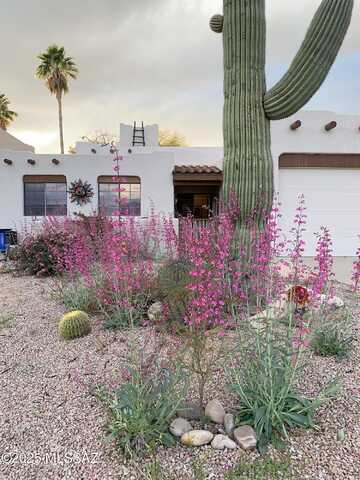 Camino De La Tierra, TUCSON, AZ 85742