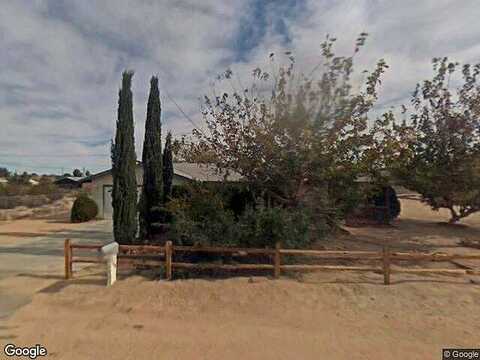 Baileya, TWENTYNINE PALMS, CA 92277