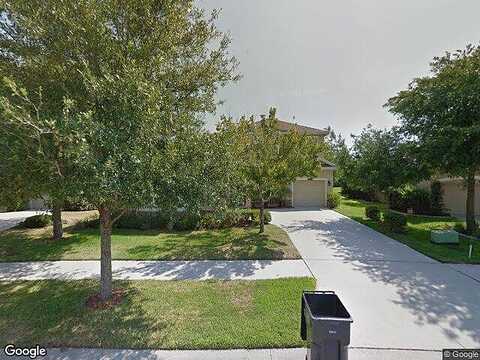 Handel, LAND O LAKES, FL 34637