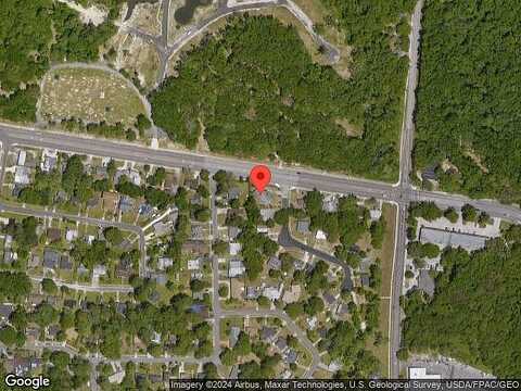 Strawflower, JACKSONVILLE, FL 32209