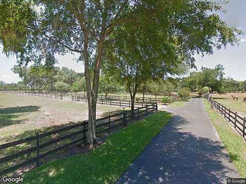 Cinnamon, SORRENTO, FL 32776