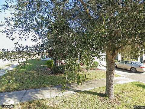 Verdant Pasture, TAMPA, FL 33647