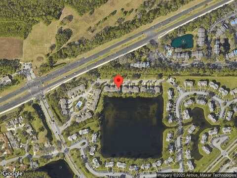Grey Widgeon, DAYTONA BEACH, FL 32119