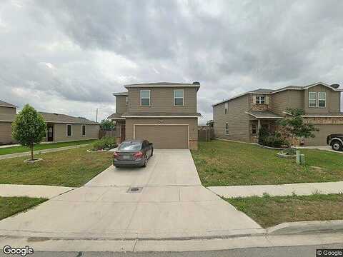 Elderberry, NEW BRAUNFELS, TX 78130
