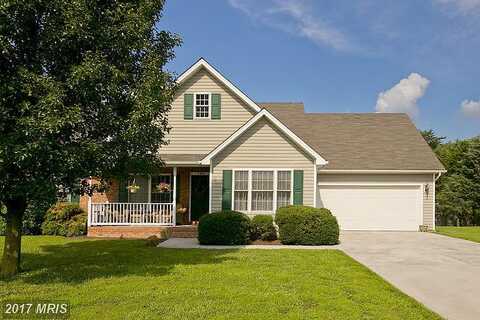 Combe, WINCHESTER, VA 22602