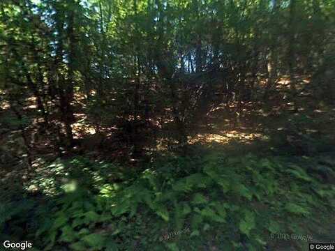 Panther, CLAYTON, GA 30525