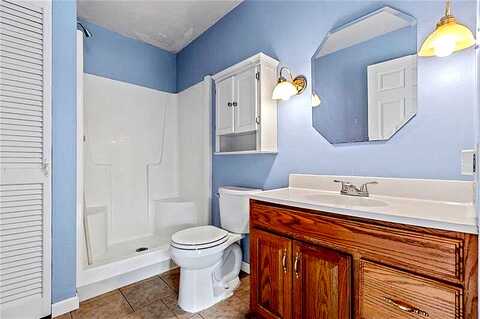 Carson, SPRINGDALE, PA 15144