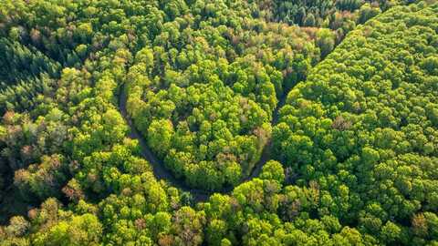 Lot 9 On WILDCAT RD, Presque Isle, WI 54557