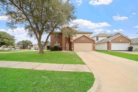 Wild Pecan, HOUSTON, TX 77084