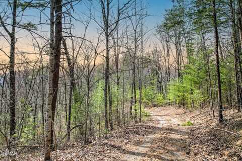 Lot Tr1 Tall Oak Way, Sevierville, TN 37876