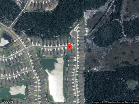 Dove Tree, SAINT AUGUSTINE, FL 32095
