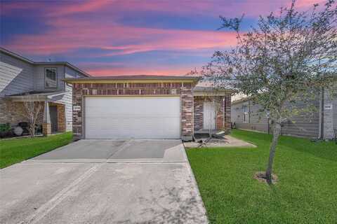 Skyview Silver, HOUSTON, TX 77047