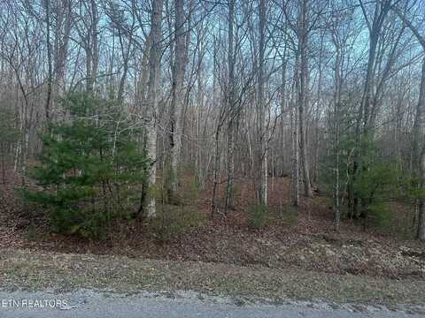 16 Homberg Lane, Fairfield Glade, TN 38558
